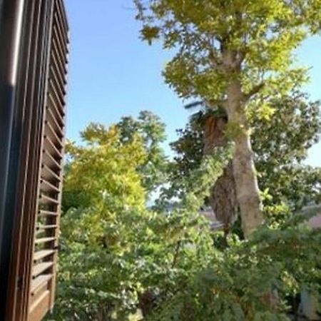 B&B Duomo بينيفنتو المظهر الخارجي الصورة